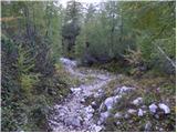 Uskovnica (Lom) - Planina pod Mišelj vrhom